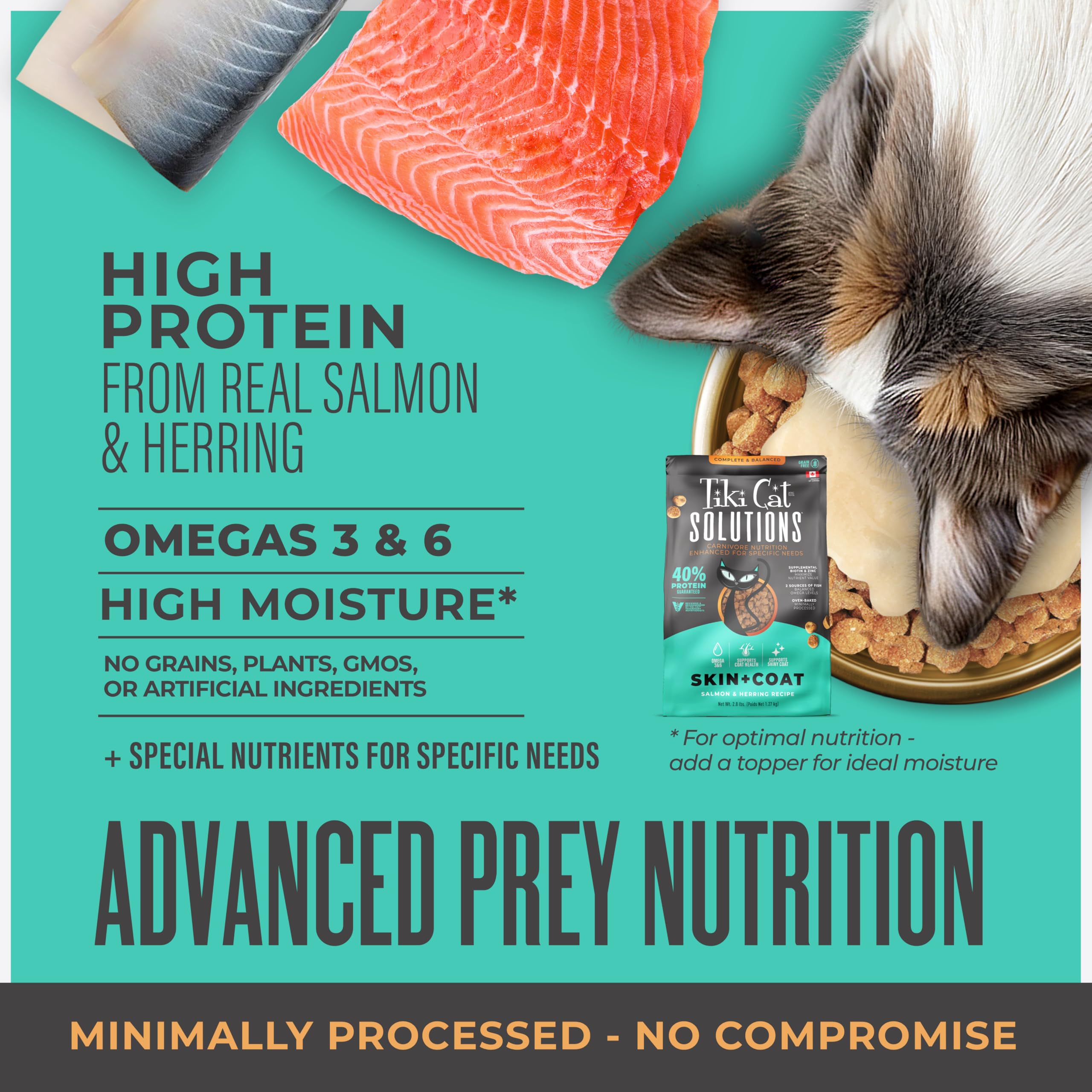 Tiki Cat Solutions Biotina y Zinc para nutrición felina