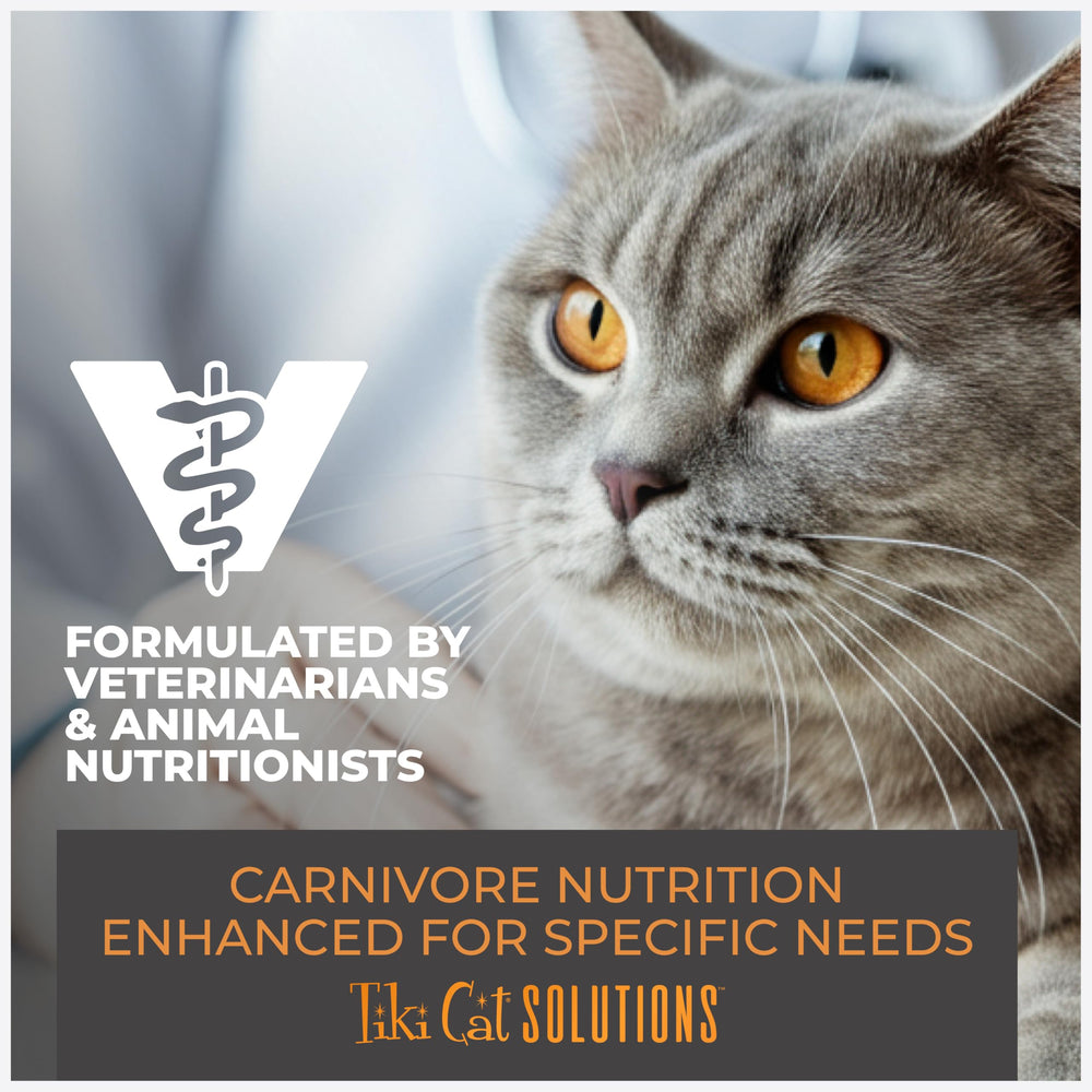 Tiki Cat Solutions Light Mousse podría ayudar a mantener la figura en gatos adultos.