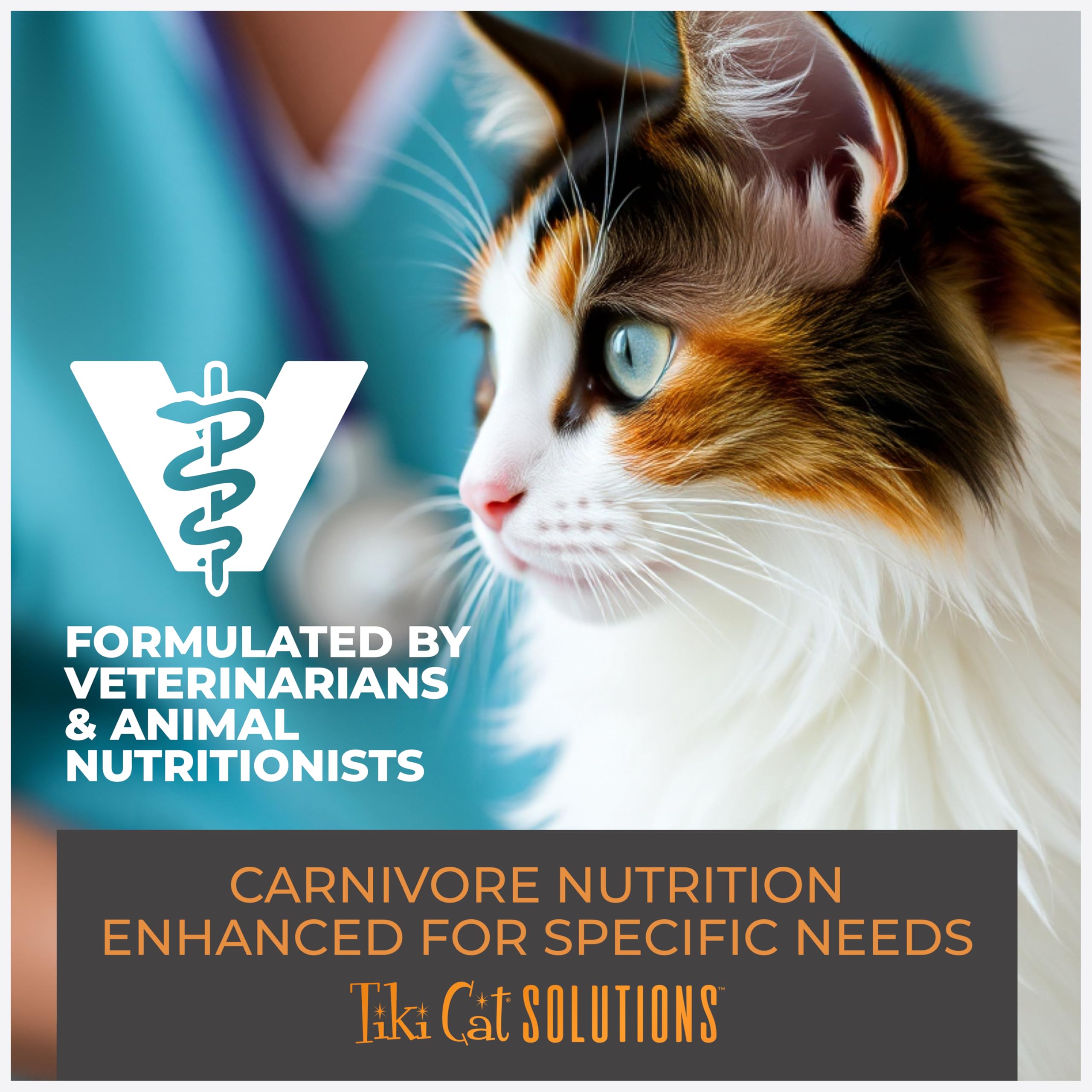 Tiki Cat Solutions Skin & Coat: proceso horneado para conservar nutrientes.