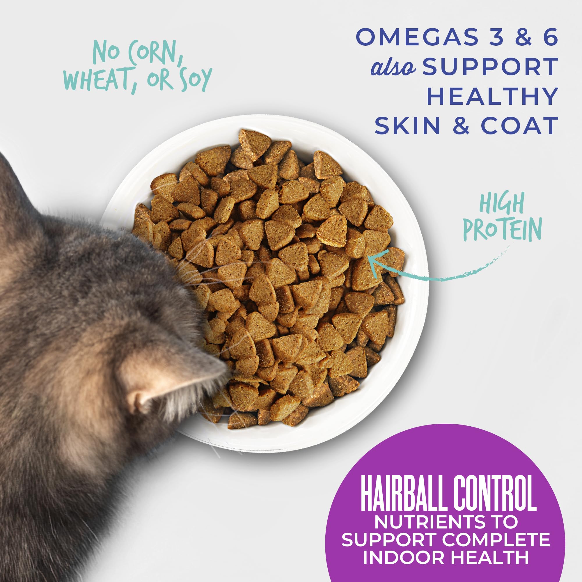 TIKI PETS Carnívoro con Omega 3 y 6 para piel sana.