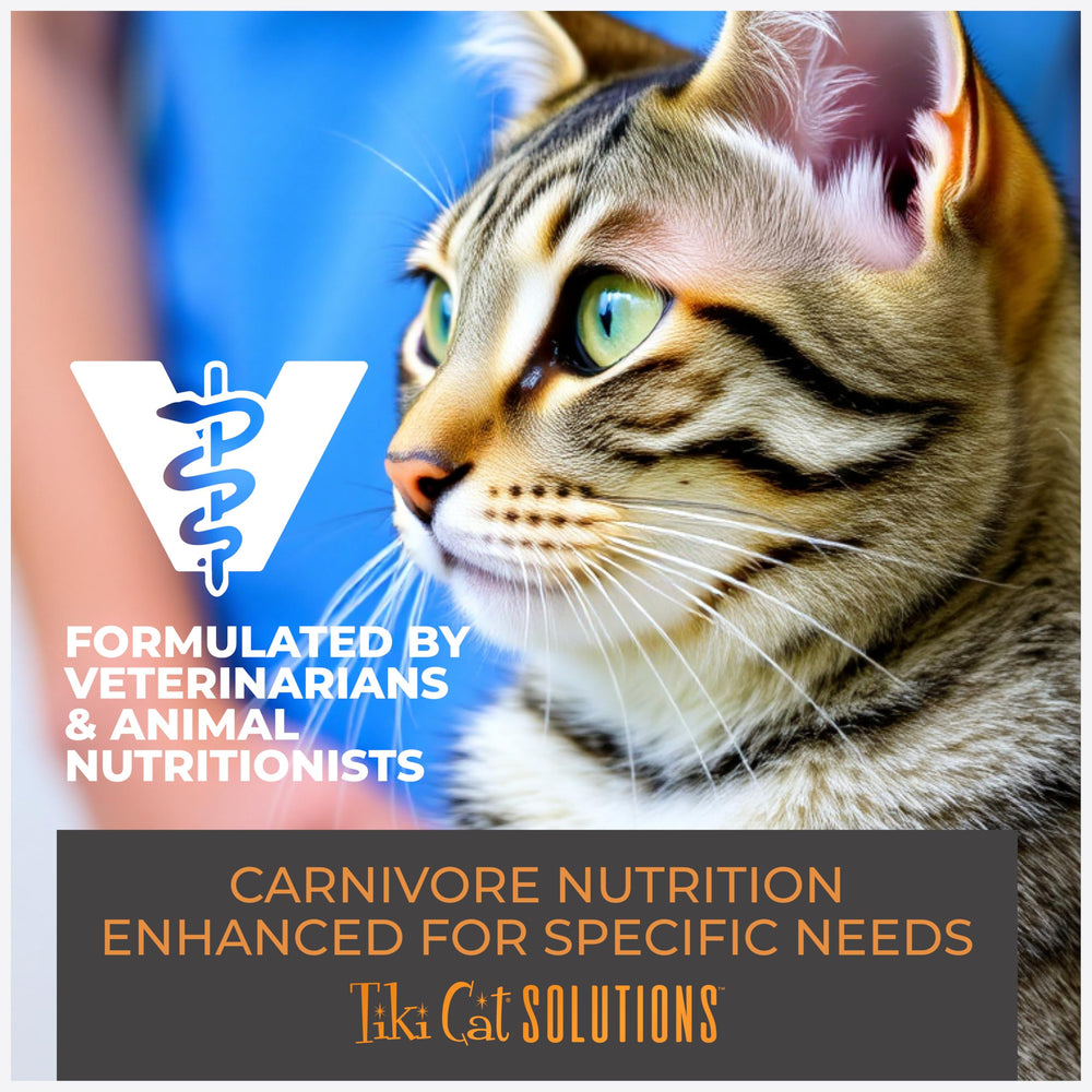 Tiki Cat Soluciones Dentales: omega-3 y omega-6 para piel y pelaje saludables.