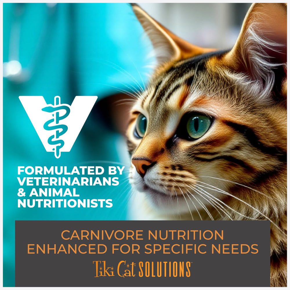 Tiki Cat Solutions Completo para gatos adultos
