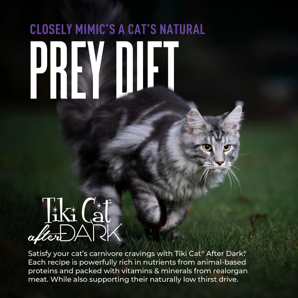 Tiki Cat After Dark Shreds porciones de 3 oz para snack nutritivo diario.