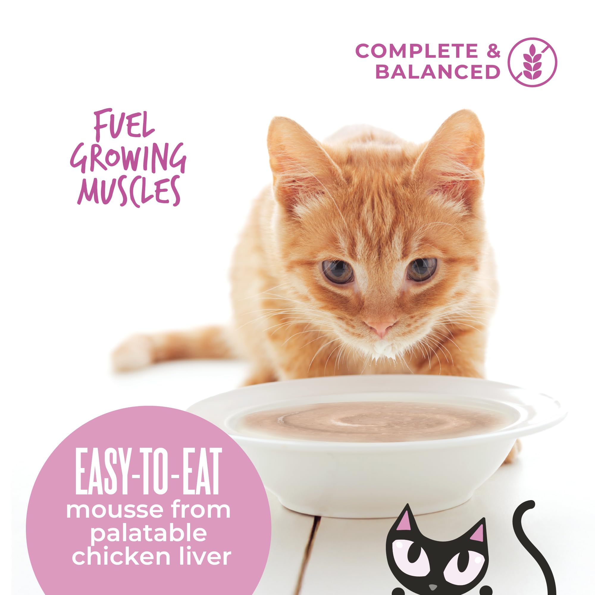 Paquete de 12 sobres en Tiki Cat Baby Mousse, conveniente para familias.