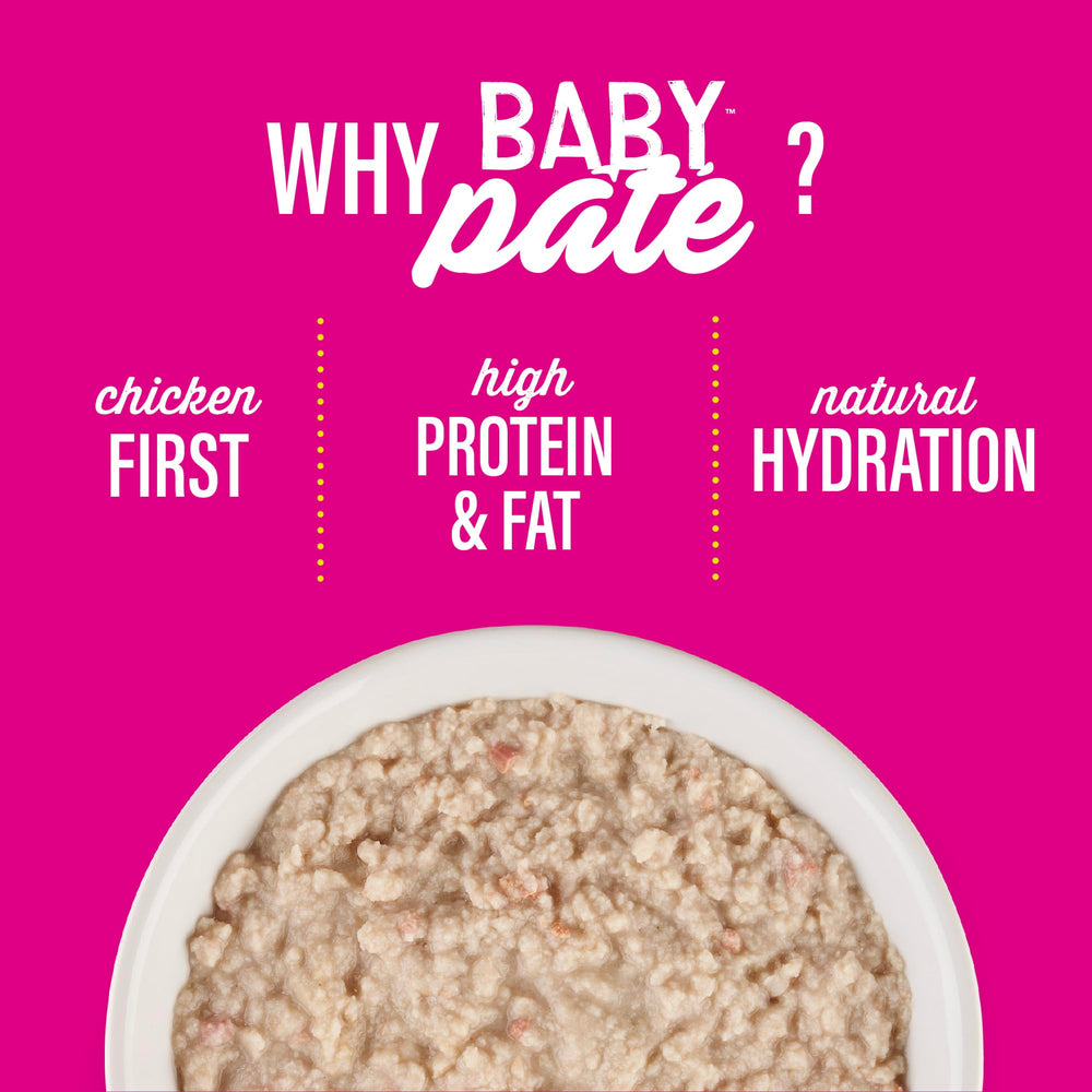Tiki Cat Baby Pate alimento completo para gatitos en crecimiento