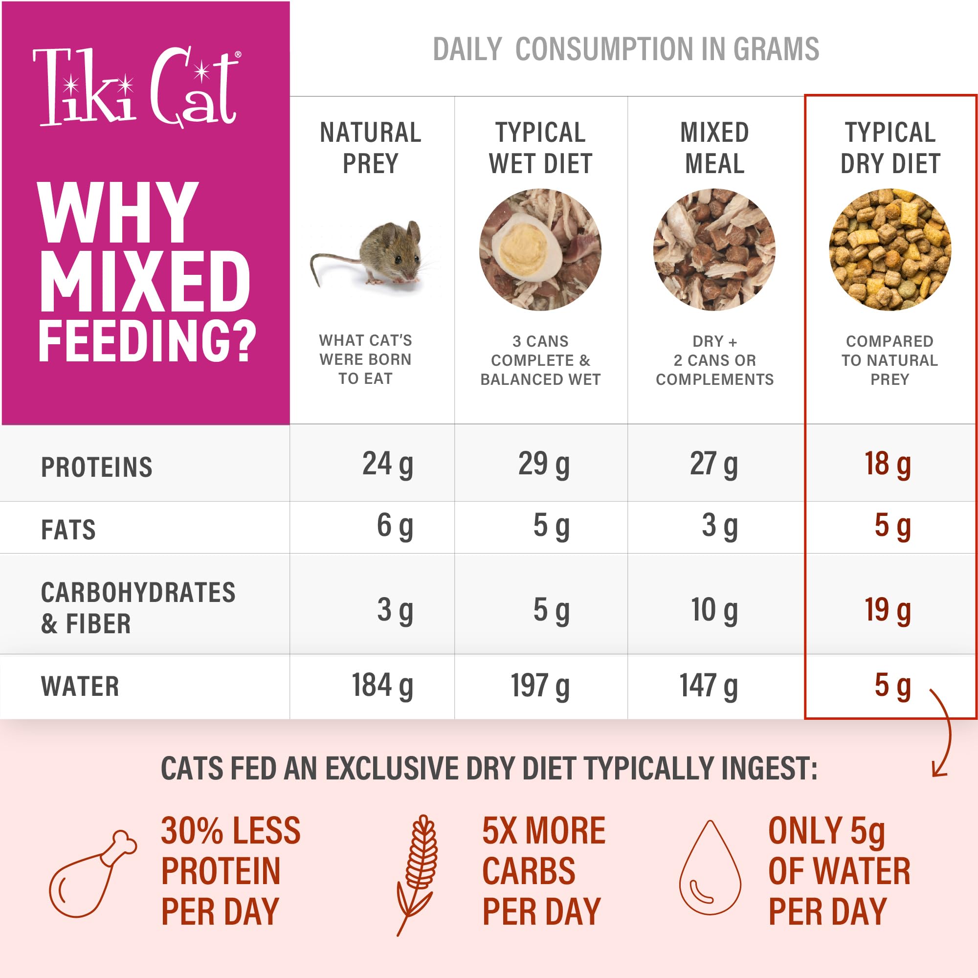Tiki Cat Born Carnivore Caldo salmón con trocitos sabrosos para gatos