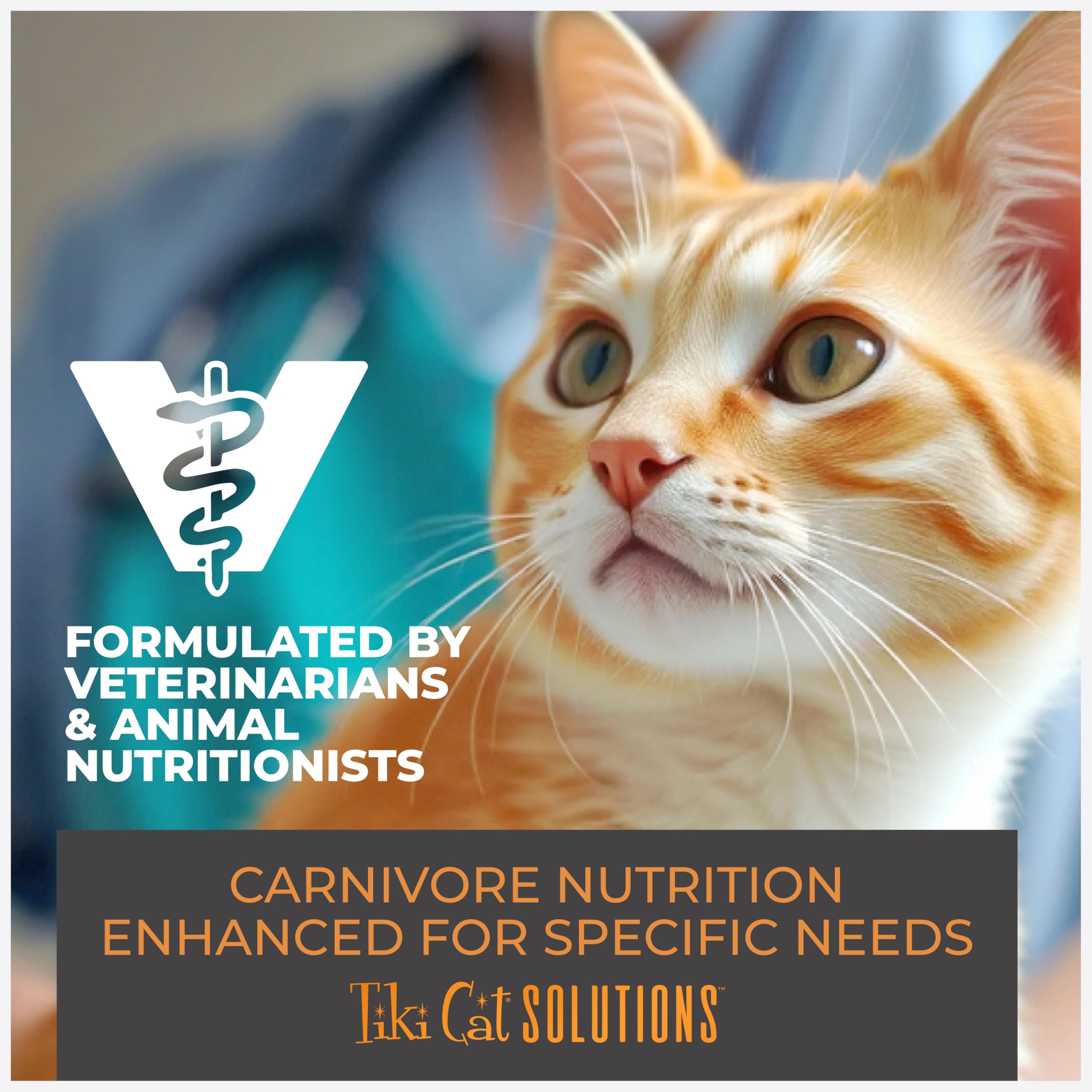 Revisión de nutricionistas veterinarios de Tiki Cat sobre Topper Fussy.