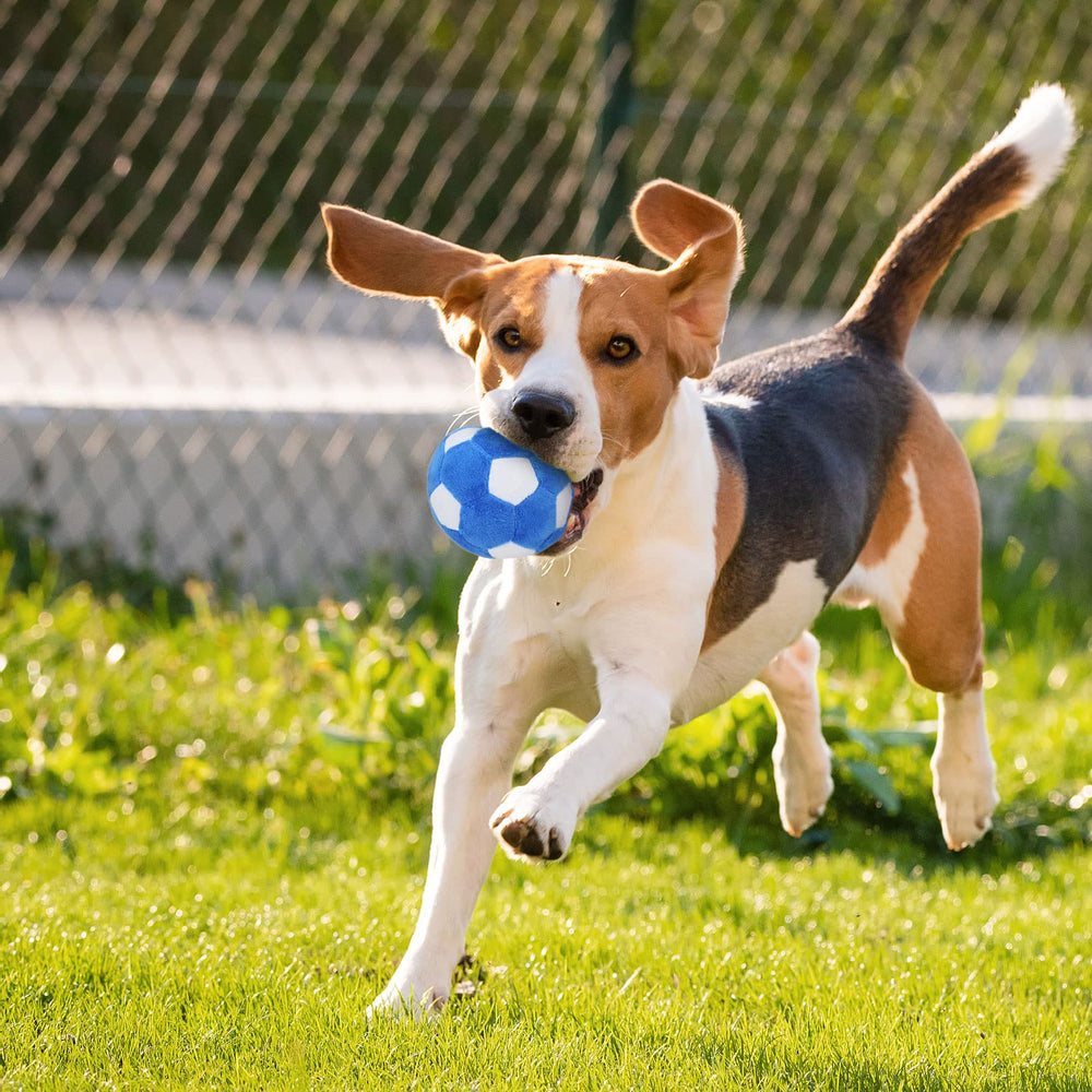 TONYFY Regalo de juguete para fiestas caninas, ideal para cachorros y perros medianos