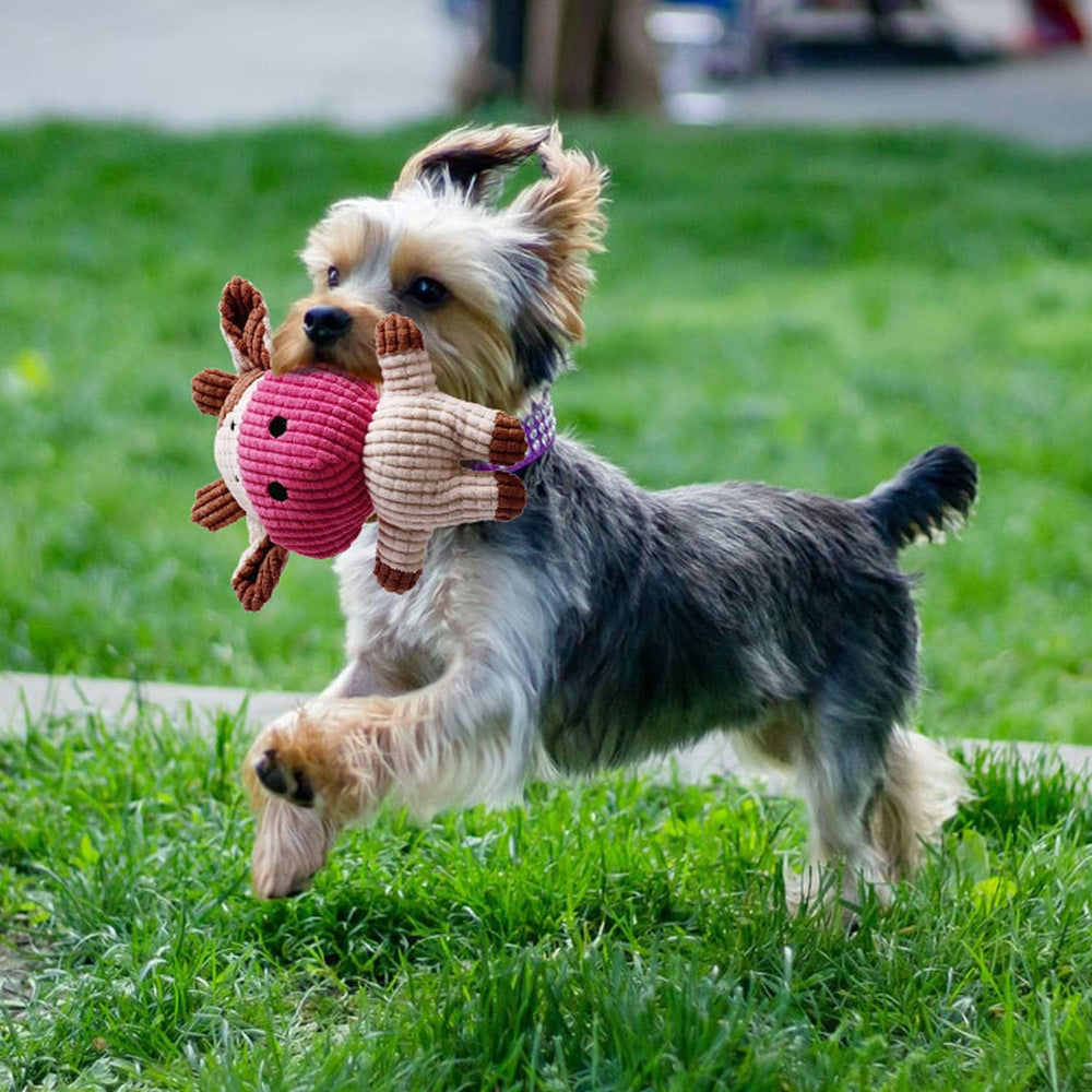 Toozey juguete seguro no toxico, ideal para cachorros curiosos y mordedores.