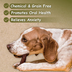 Top Dog Chews palito alto en proteínas para energía diaria