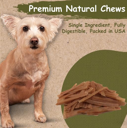 Top Dog Chews tendones de pavo planos, ingrediente único sin granos para perros