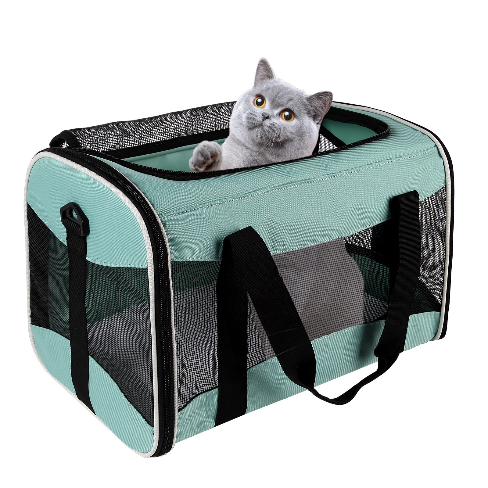 Top Tasta transportadora portátil, ideal para coche o visitas al veterinario.