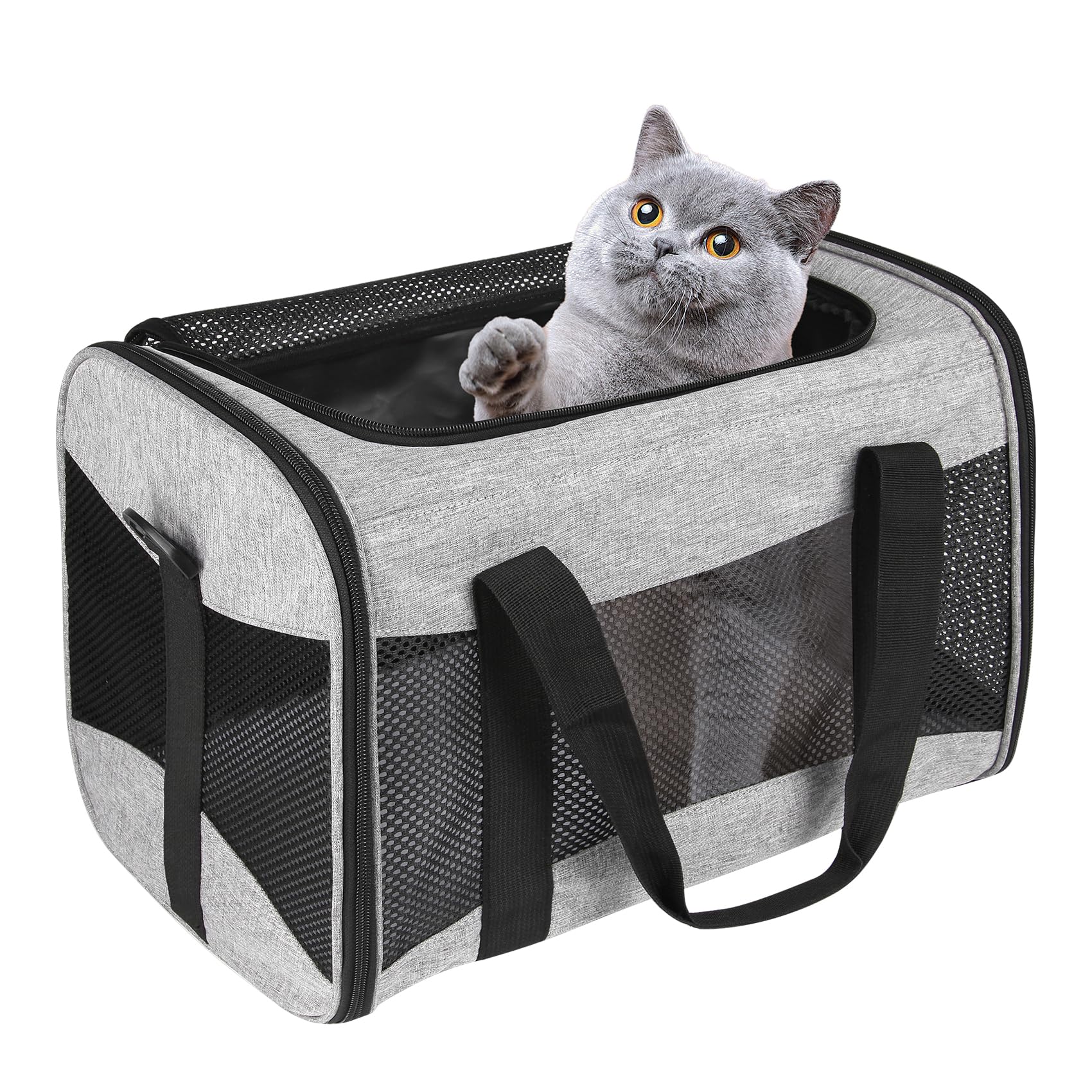 Top Tasta transportín para gato, aprobado para avión, ideal para viajar.
