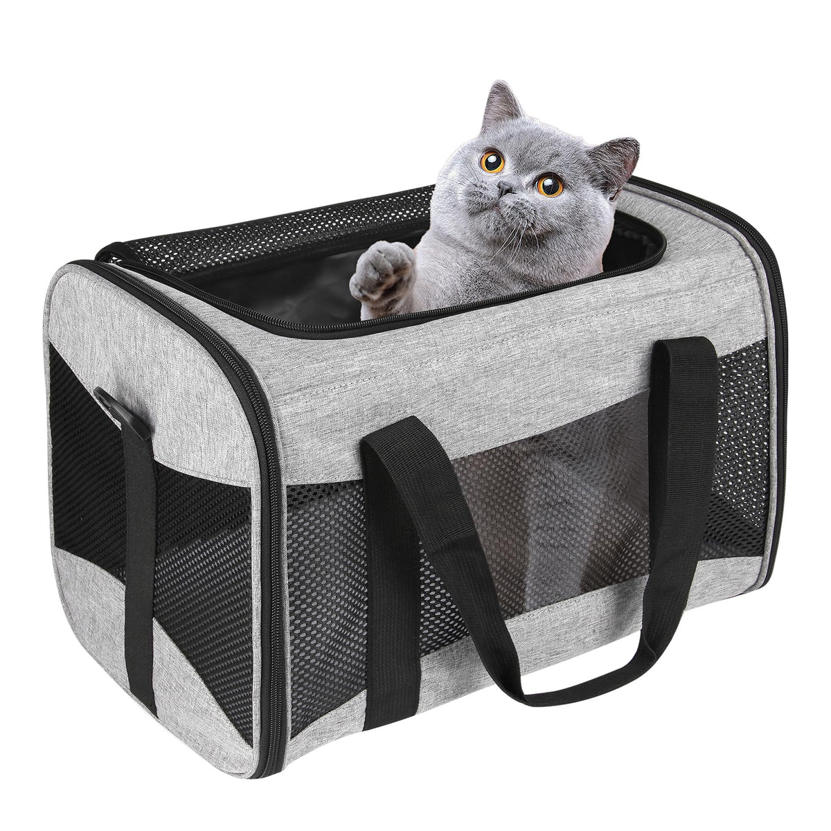 Top Tasta transportín para gato, aprobado para avión, ideal para viajar.