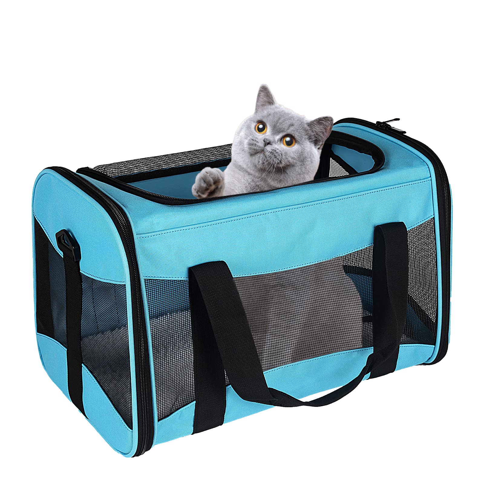 Top Tasta transportín para gatos, dimensiones 20x13x13, ideal para viajes.