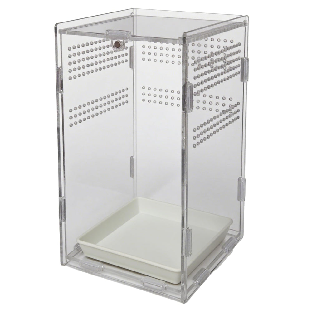 TOTZLIAN terrario para arañas: caja compacta de 4,7x4,7 pulgadas para mascotas arbóreas.