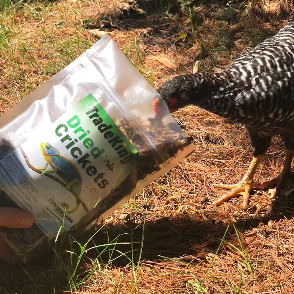 TradeKing grillos deshidratados para gallinas, complemento diario de proteínas.