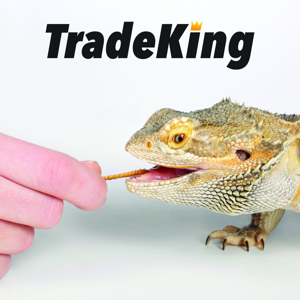 TradeKing gusanos de harina secos para peces