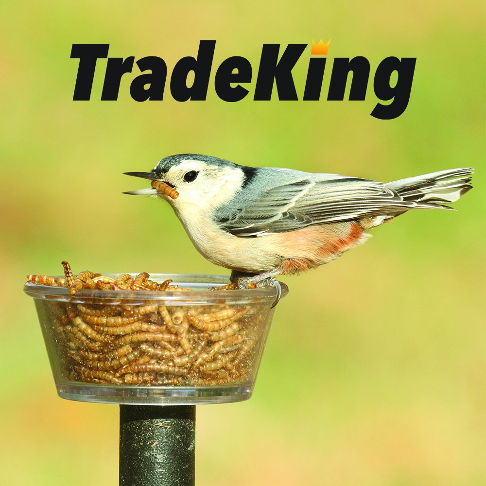 TradeKing gusanos de harina secos para peces, complemento proteico para acuario.