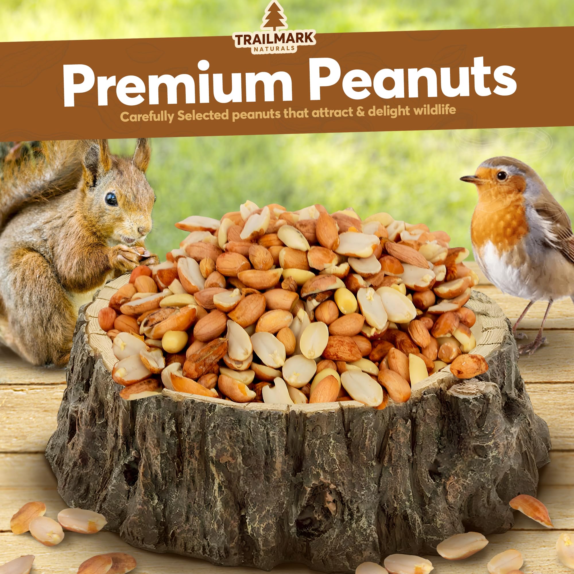 Trailmark Naturals cacahuates crudos pelados para aves silvestres, alimento seguro para el jardín