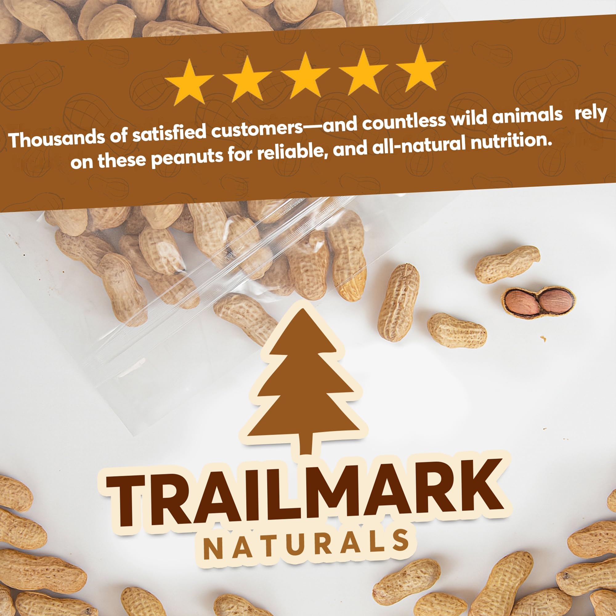 Trailmark Naturals estación de alimentación para aves y ardillas