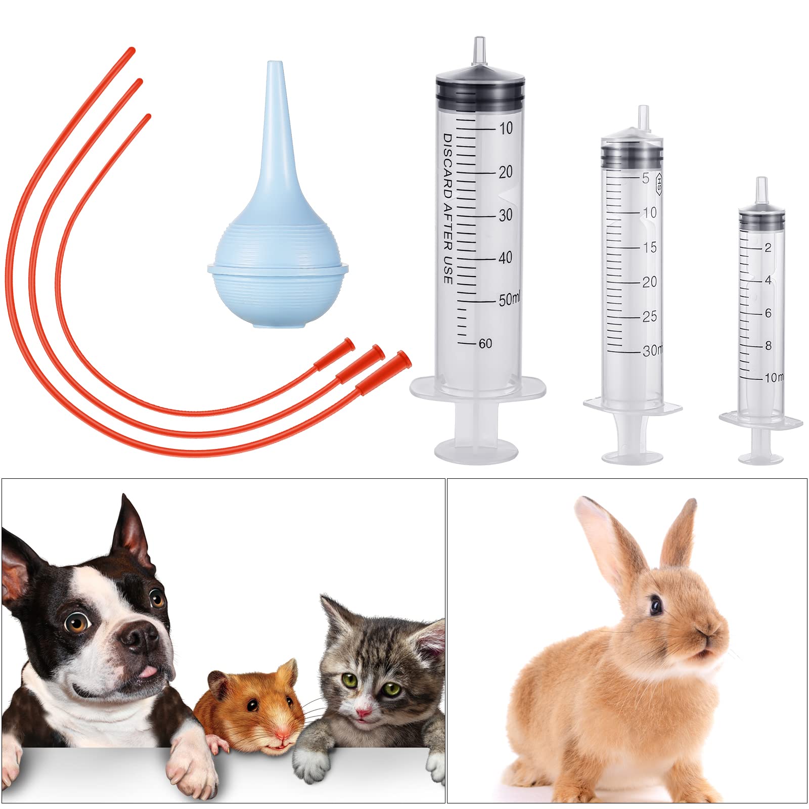 Treela kit completo alimentación perritos, conjunto práctico para crías.