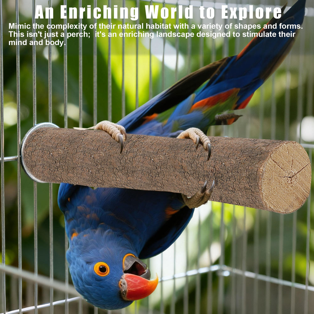 Treewoll percha con ramas de abedul para aves que exploran.