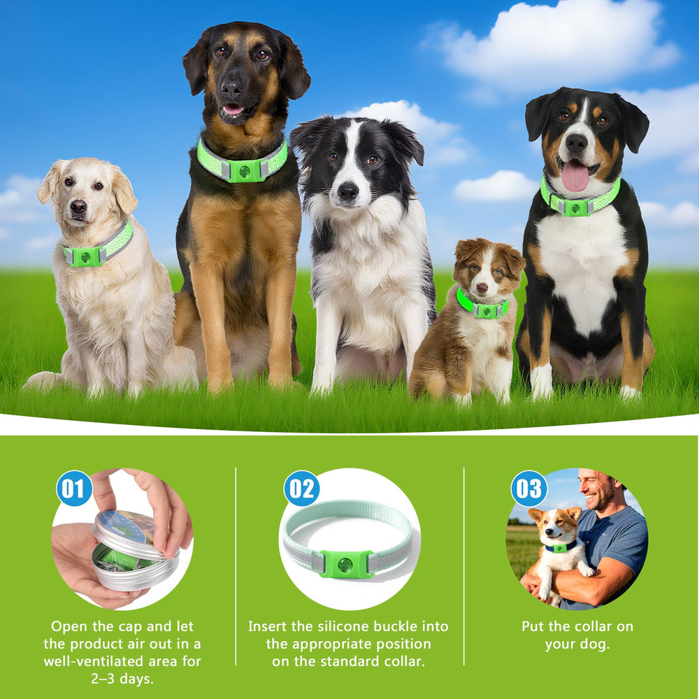 Trihood etiqueta para paseos diarios, fácil de usar en cualquier collar.