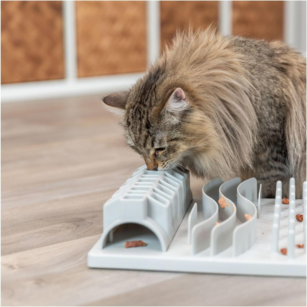 TRIXIE Fun Board: dispensador de premios para gatitos con exploración guiada