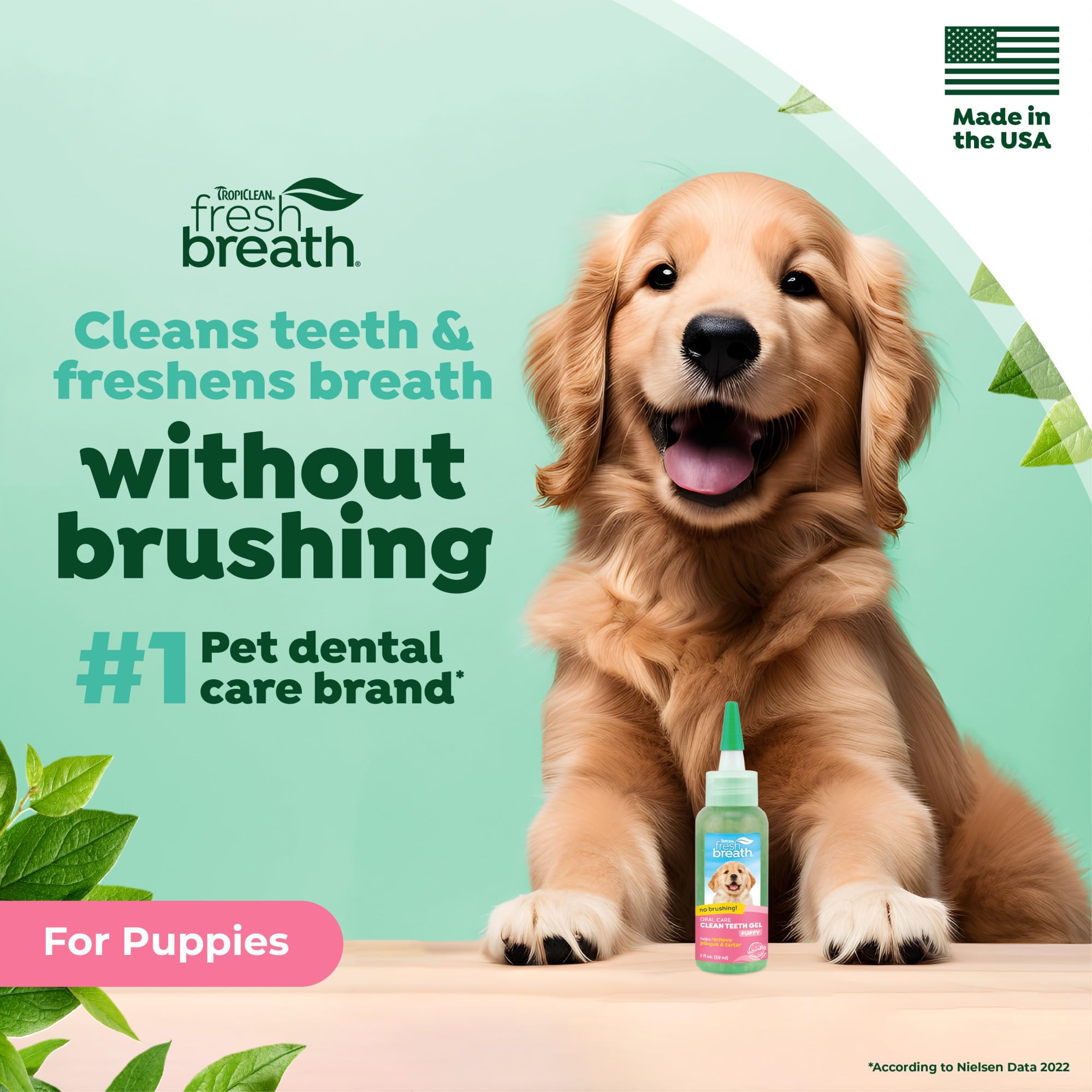 TropiClean aplica gel dental sin cepillo en perro, uso sencillo.