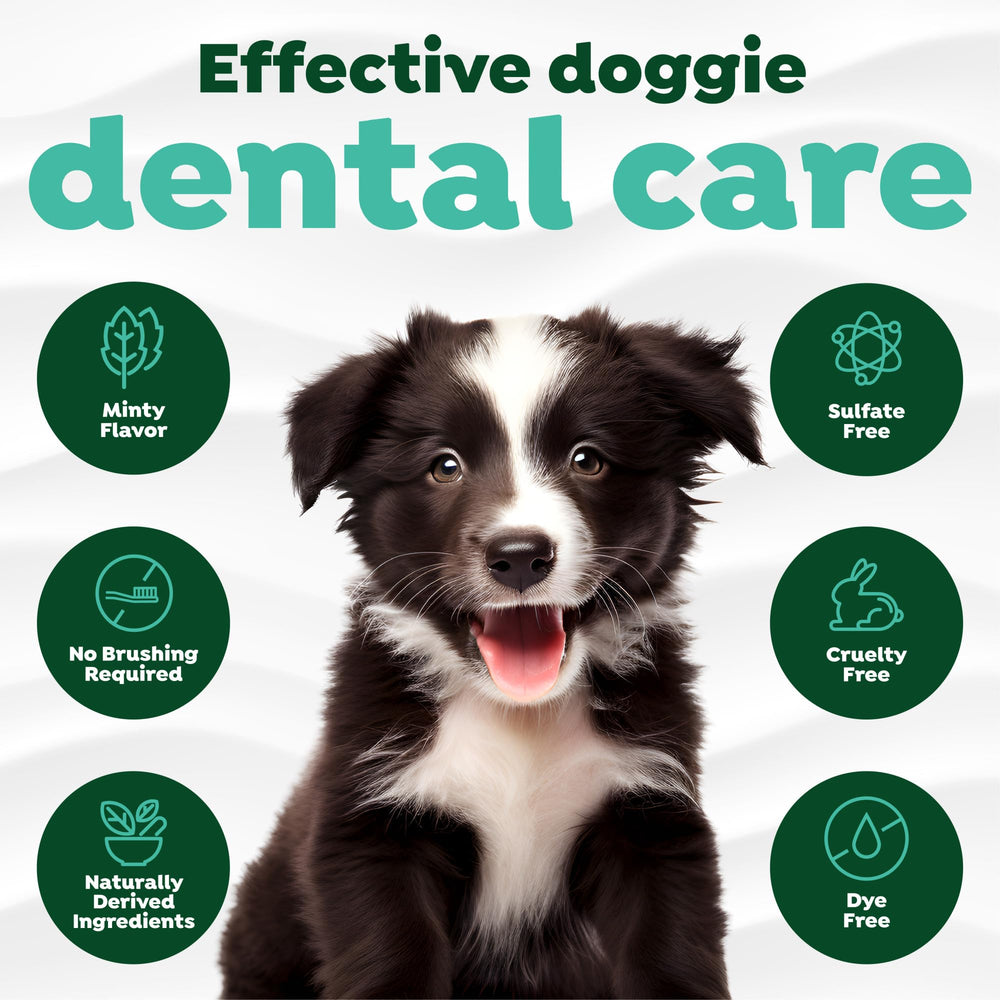 TropiClean cuidado dental en casa con ingredientes naturales y seguros.