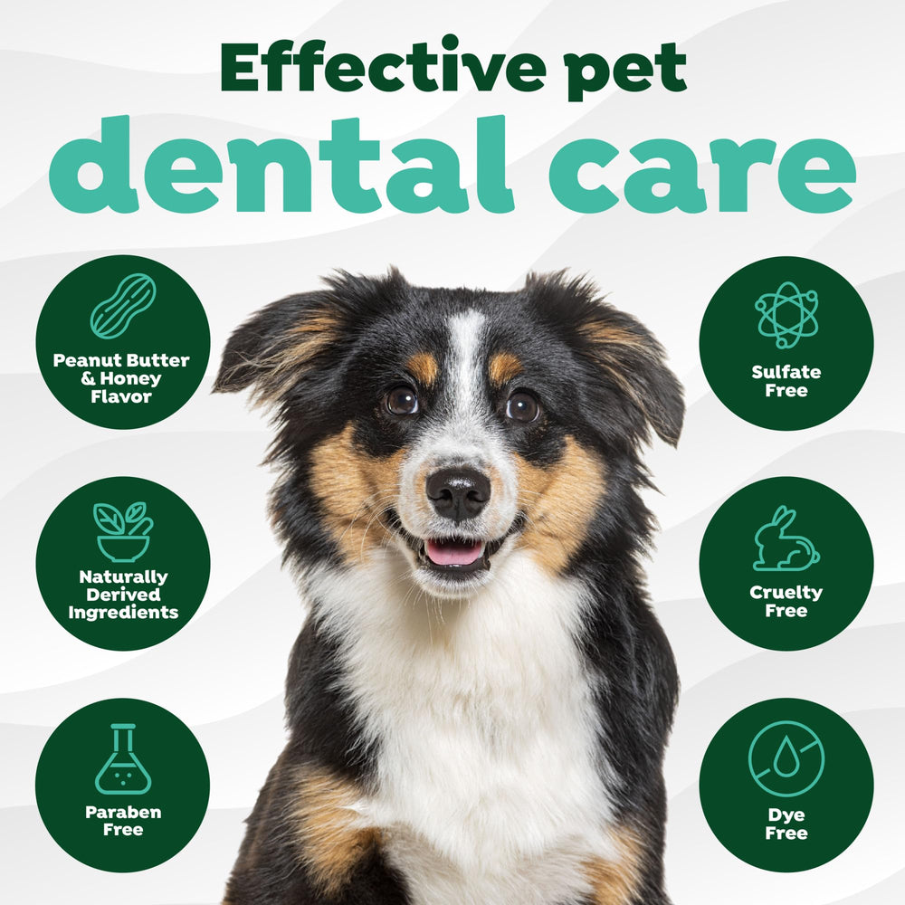 TropiClean Fresh Breath promueve dientes brillantes en perros con uso continuo.