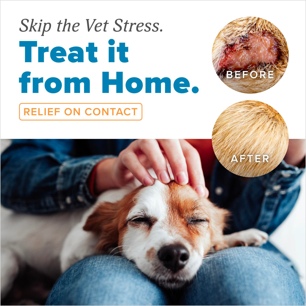 Zonas irritadas de la piel del perro tratadas con la crema medicada.