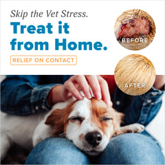 Zonas irritadas de la piel del perro tratadas con la crema medicada.