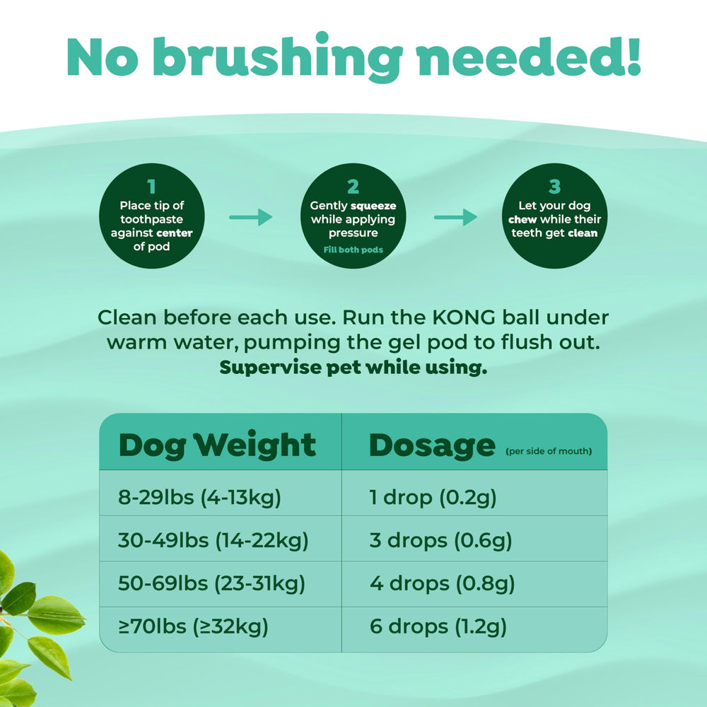 TropiClean Kong bola dental mediana para perros de 25 a 55 libras