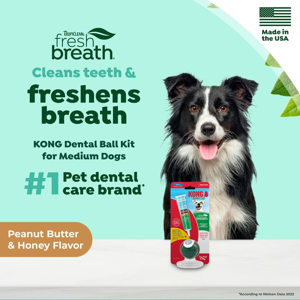 TropiClean Kong bola dental mediana ayuda a reducir la placa durante el juego