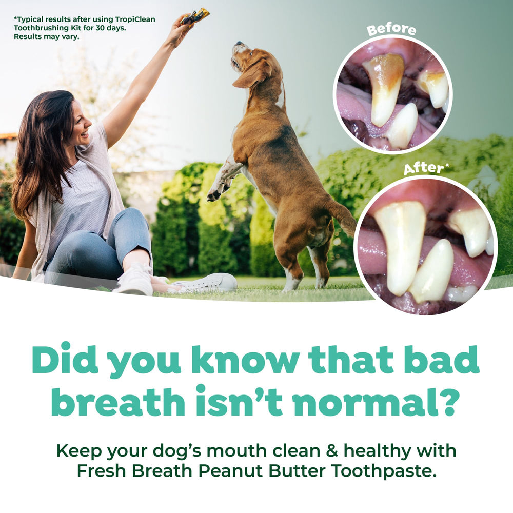 Pasta dental TropiClean para perros con sabor atractivo