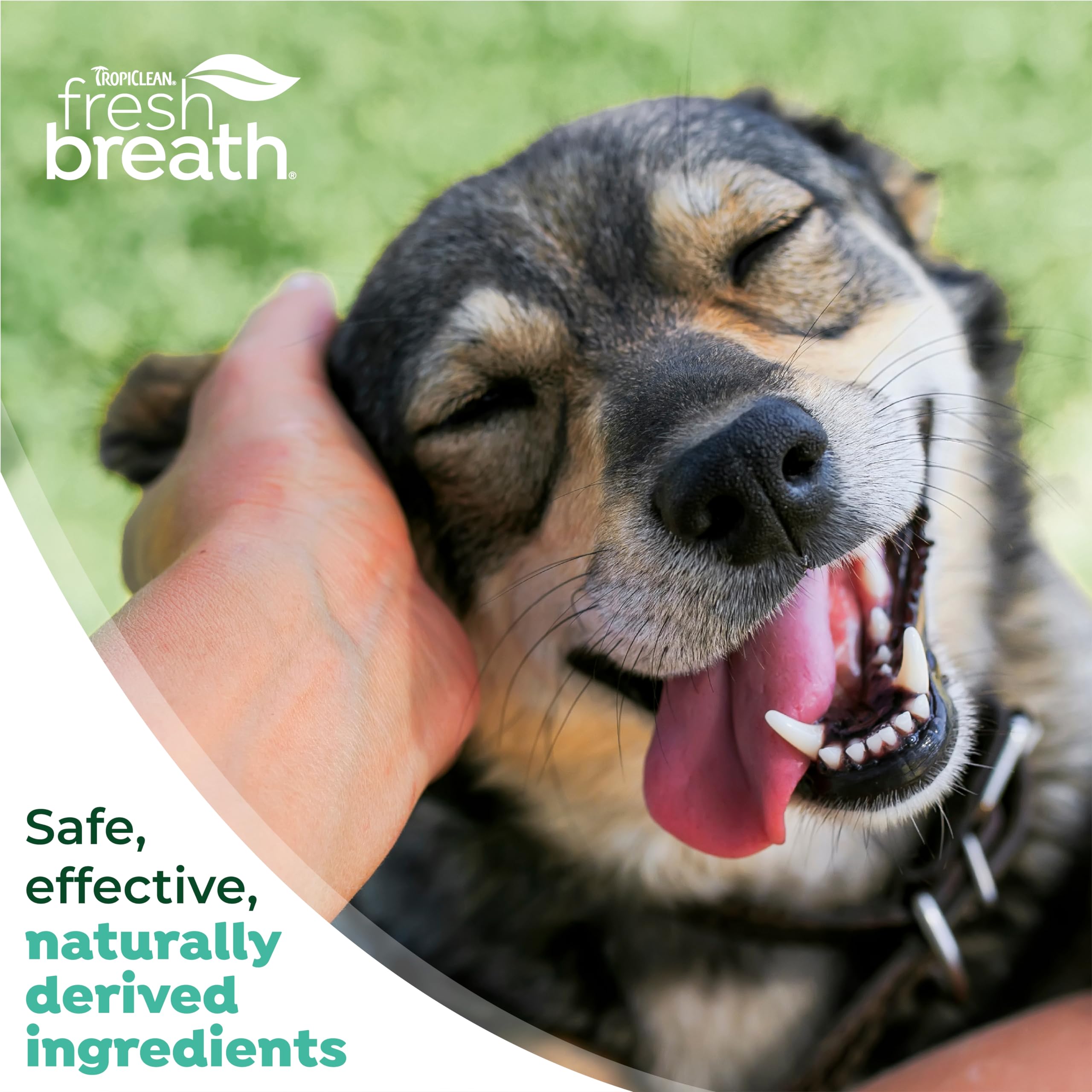 TropiClean sonrisa perros dental, cuidado cómodo y práctico.
