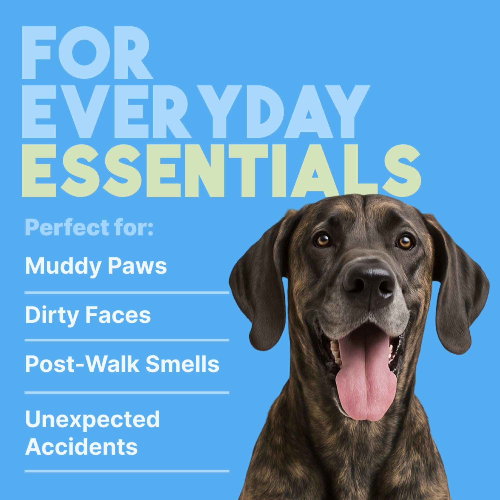 Uso en movimiento con TropiClean, solución práctica para mascotas.