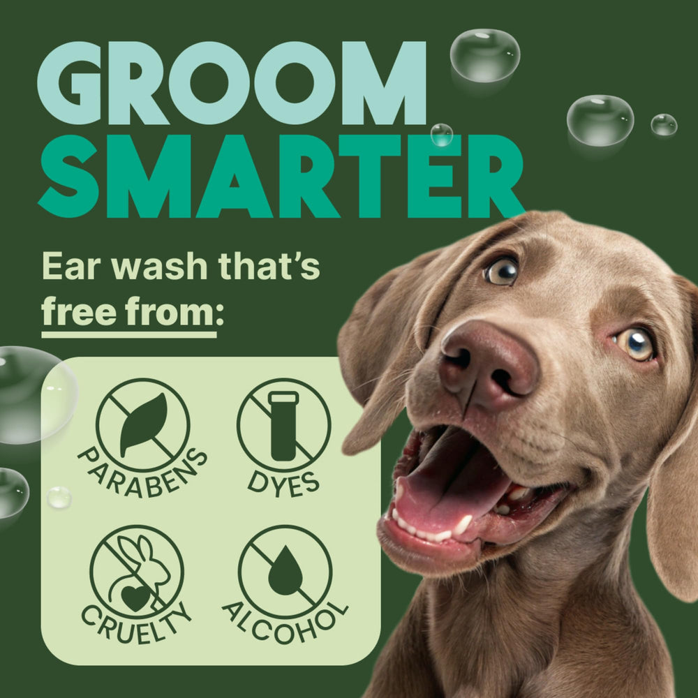 Uso fácil de TropiClean para perros y gatos durante la limpieza de oídos.