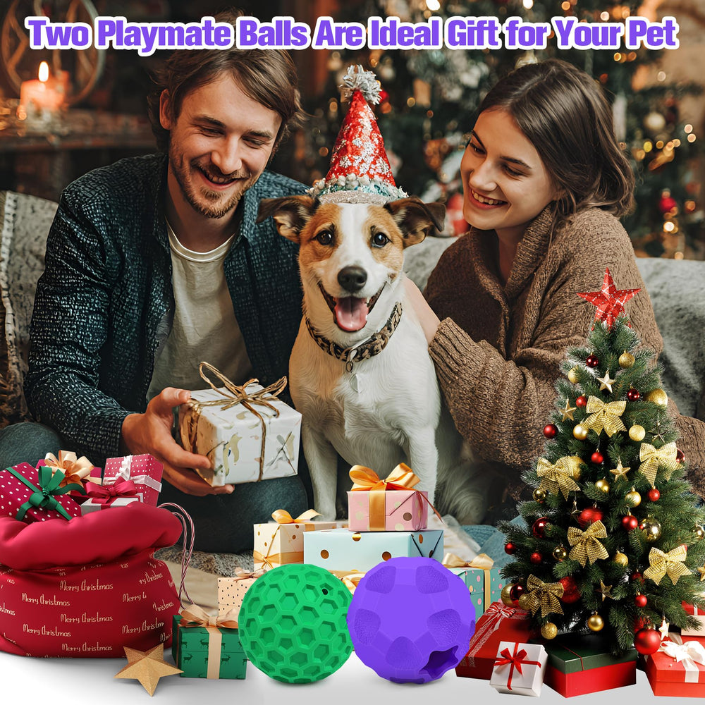 TROUSKAIG regalo perfecto para perro interactivo y estimulante en cualquier lugar