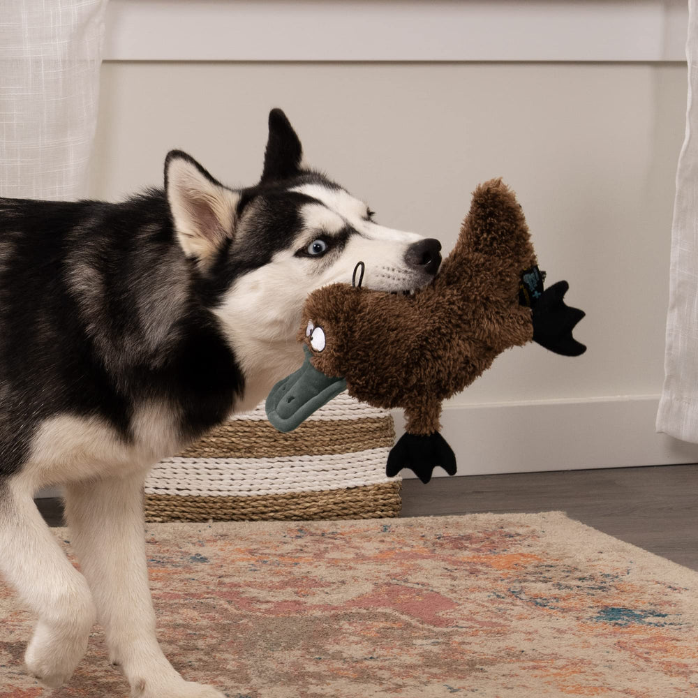 TrustyPup platypus sifflet ultrasonique silencieux, amuse le chien sans bruit.