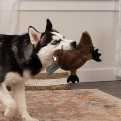 TrustyPup platypus sifflet ultrasonique silencieux, amuse le chien sans bruit.