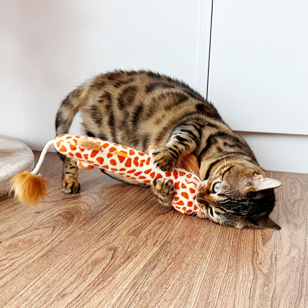 TTcat almohada para gatos y gatitos, adecuada para todas las edades.