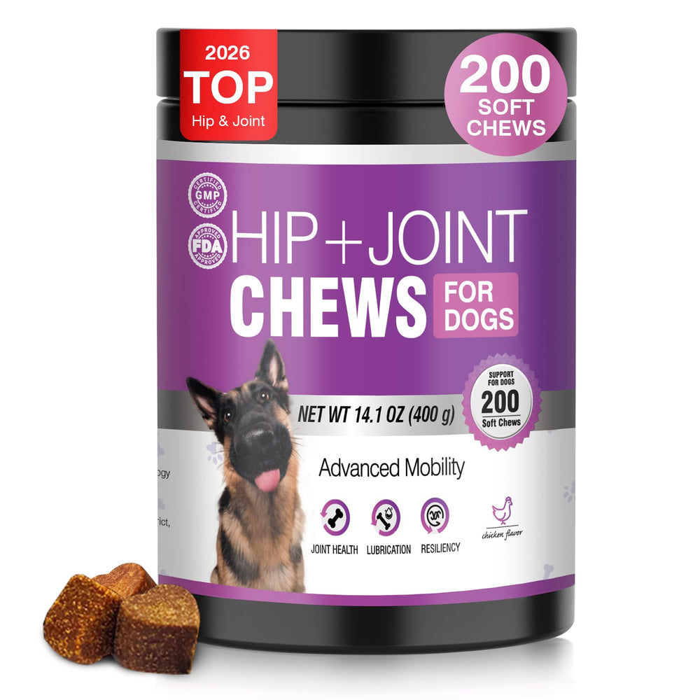 TTLXRL glucosamina para perros: botella visible y soporte articular.