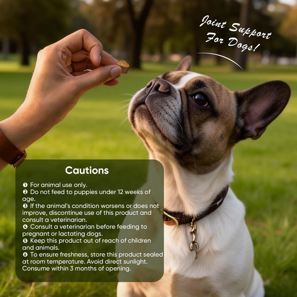 TTLXRL glucosamina para perros: ideal para la rutina diaria de articulaciones.