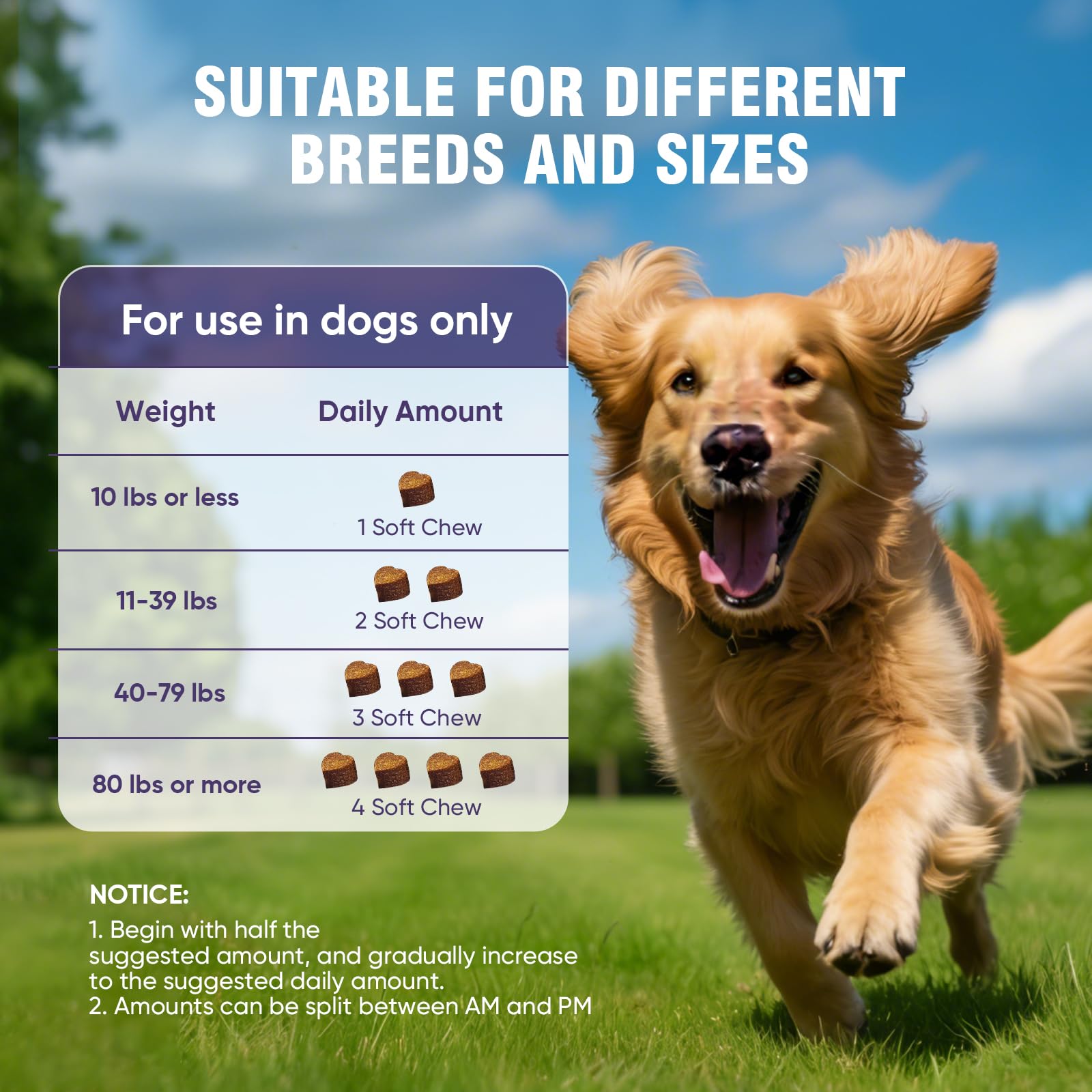 TTLXRL glucosamina para perros: apto para todas las razas.