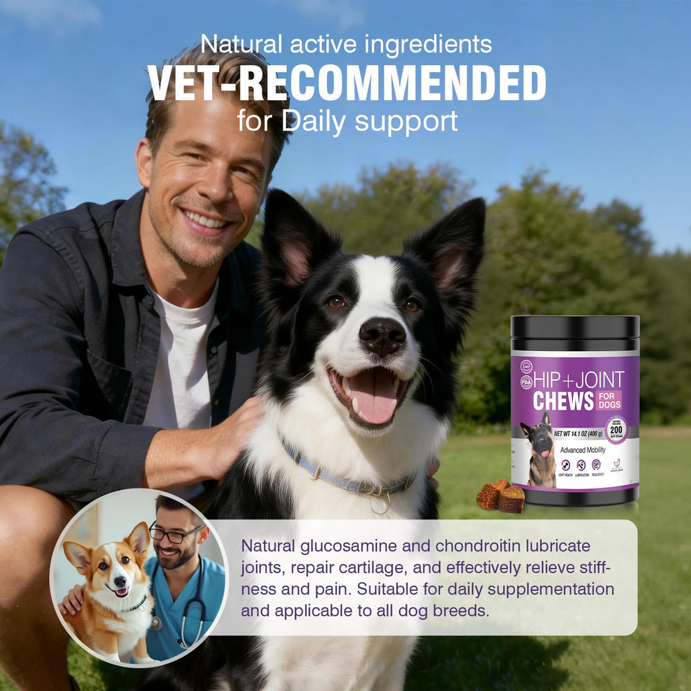 TTLXRL glucosamina para perros: soporte de tejidos conectivos.