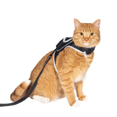 La mochila para gatos: arnés de gato ajustable de malla para paseos cómodos al aire libre.
