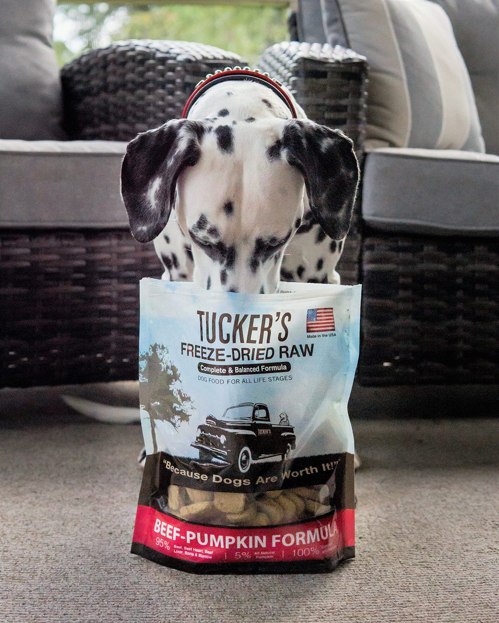 Tucker's Raw Frozen aroma apetitoso y textura crujiente tras hidratar